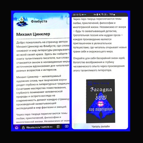 Восторженное представление книги на Флибусте
